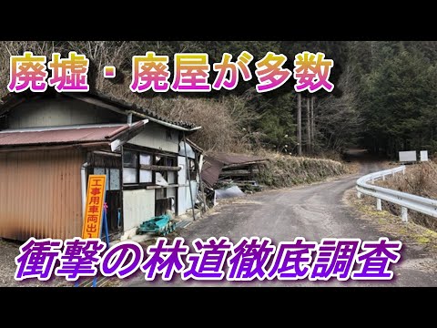 廃墟、廃屋が多数存在する林道　ささゆり峠　下呂市保井戸線