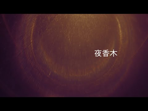 Yuta Orisaka - Night Jasmine (Official Visualizer)