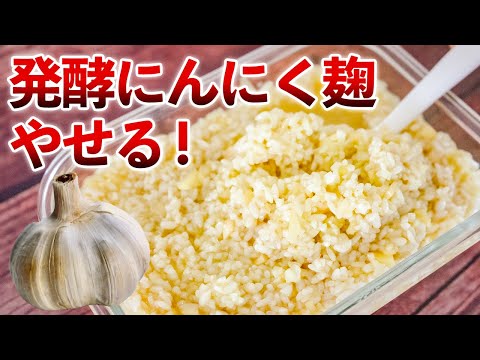 【ニンニク塩麹の最強レシピ】ひと晩で万能調味料に！発酵熟成でやせる！血管の若返り成分３倍アップ！管理栄養士