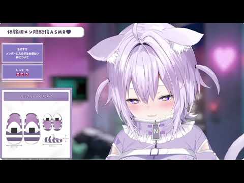 【白銀ノエル/風真いろは/猫又おかゆ】心音ASMR【ホロライブ切り抜き】