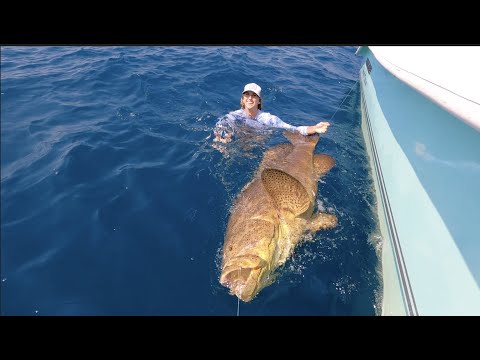 Giant  Goliath Grouper Fishing Challenge 1v1- Mini Rod Yellowtail Snapper Catch Clean Cook