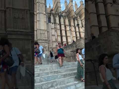 Gotic Cathedral Palma De Mallorca #cathedral #palmademallorca