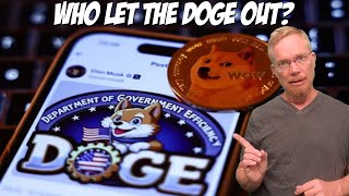 🎶 Who let the Doge out? 🎶 (Dogecoin, Elon Musk and D.O.G.E.)