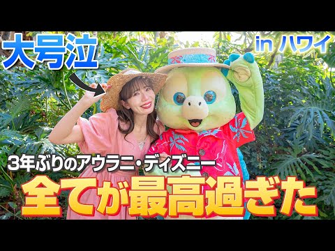 【3年で大変貌】ハワイにあるディズニーの楽園が最高すぎて大号泣【アウラニ】