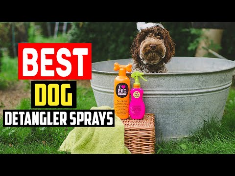 ✅Top 5 Best Dog Detangler Sprays in 2023