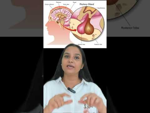 Hypothalamus | Pituitary gland | Chemical Control and Coordination #shorts #biology #neet