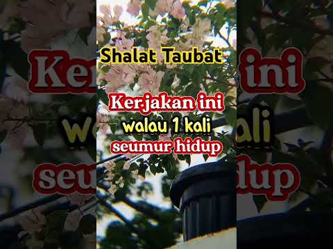 #shalat #tobat #shortsvideo #shorts #reels #feedshorts #youtubeshorts #youtube #subscribe #fyp