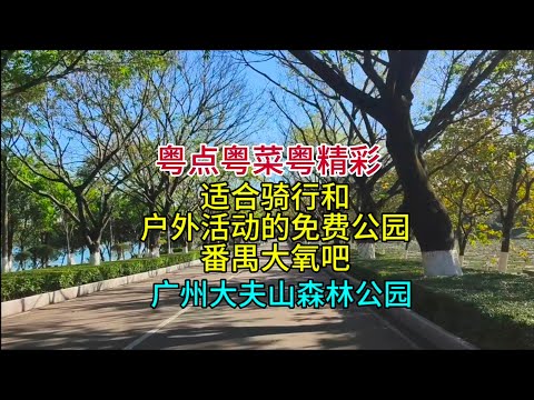 适合骑行和户外活动的免费公园，番禺大氧吧，广州大夫山森林公园