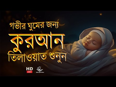 গভীর ঘুমের জন্য সুন্দর কুরআন তেলাওয়াত । BEAUTIFUL QURAN RECITATION FOR SLEEP By Haron Jad