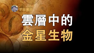 【宇宙雜談】金星雲層惊現「生命跡象」？或有生命生活在大氣層中？| Linvo說宇宙