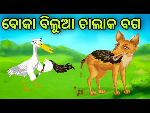 ବୋକା ବିଲୁଆ ଚାଲାକ ବଗ | Boka Bilua Chalak Baga | Tiki Chadhei | Odia Gapa | Chadhei Gapa