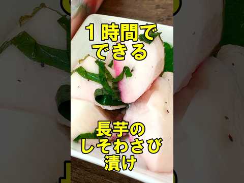 1時間で完成！長芋のしそ漬け #漬け物 #長芋 #簡単レシピ