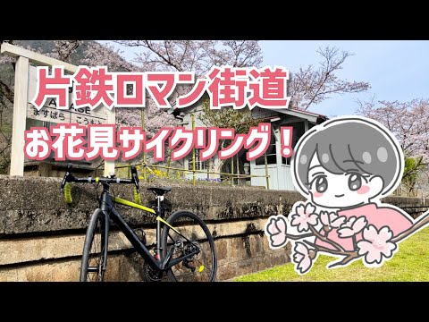 【岡山ロードバイク女子】ロマン薫る廃線跡地でお花見を楽しもう♪片鉄ロマン街道の魅力を自転車で満喫してみた