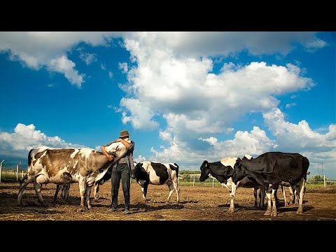 Milking Us Dry: Dairy Farmers Call on USDA to Release Missing Checkoff Reports