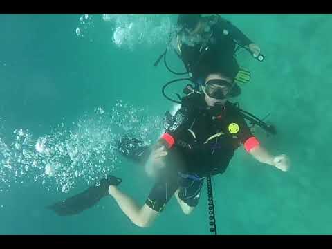 Pulau Tenggol Coral Beach Resorts Fun Dive