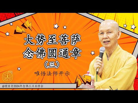 唯悟法师2024年念佛三日共修会开示 大势至菩萨念佛圆通章 (三）