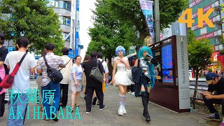 【4k】Tokyo walk-Akihabara🍈秋葉原を散歩