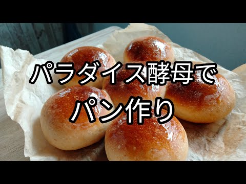 【超簡単】パラダイス酵母を使ったパンの作り方