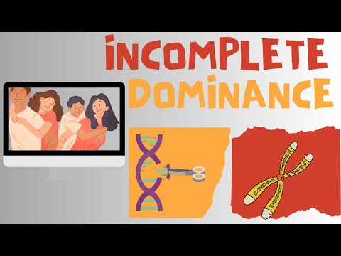 Incomplete Dominance | Biology Animation