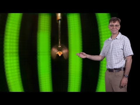 Michael Dickinson (CalTech) 3: How Flies Fly: Control