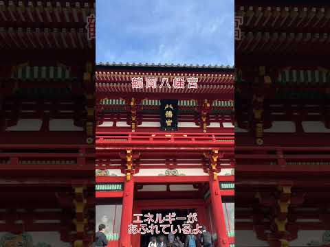 #鶴岡八幡宮 #鎌倉 #白旗神社 #丸山稲荷 #祖霊社 #鎌倉散歩 #神社 #神社仏閣パワースポット #湘南