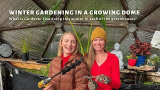 Winter Gardening in a Growing Dome - What Is Gardener Lisa Doing in Each of the Greenhouses?