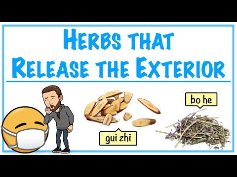 Herbs that Release the Exterior - Introduction to Chinese Herbology in TCM