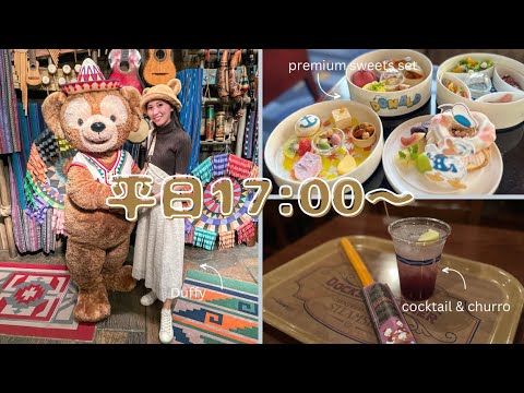 【vlog】平日17:00〜ぼっちディズニー🌋