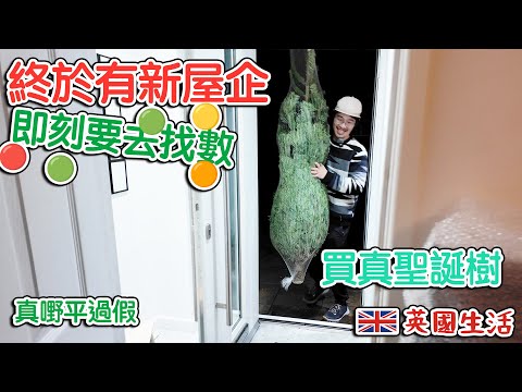 終於有新屋企｜即刻要去找數｜買真聖誕樹｜真嘢平過假