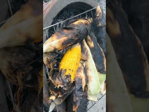 #mokkajonna #roasting #roastedcorn #cornrecipes #treditionalrecipe