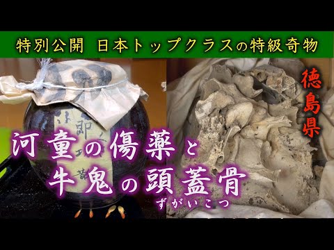 【衝撃映像】令和に解禁された河童の傷薬に牛鬼の頭蓋骨！江戸時代から賀島家に伝わる、先祖と妖怪との知られざる物語とは！ソロモンの秘宝だけじゃないぜ、ミステリー倶楽部103話！