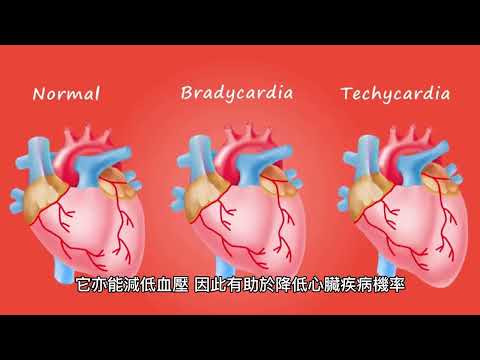 馬可醫師--保健食品新寵兒Q10，細胞的源動力，中秋後減重必備輔助品