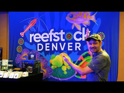 ReefStock Denver 2022 Full Walkthrough