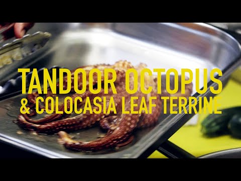 How to Cook Tandoor Octopus (GLUTEN FREE!)