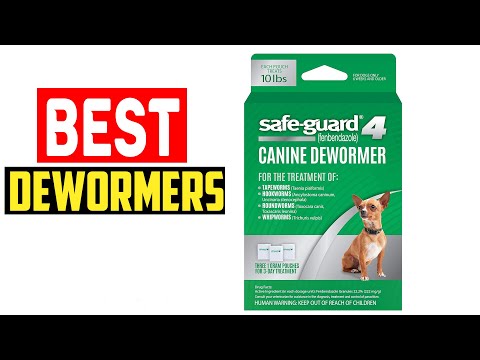 ✅Top 5 Best Dewormers for Dogs in 2024