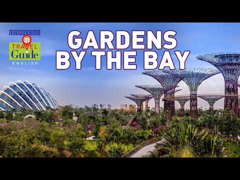 Singapore | Enchanting Gardens | MM Travel Guide | Marina Reservoir | Travel Videos