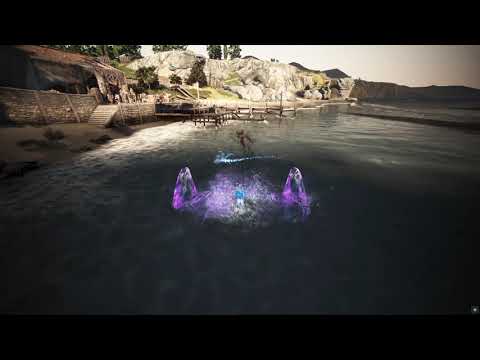 BDO Corsair Surf Succession