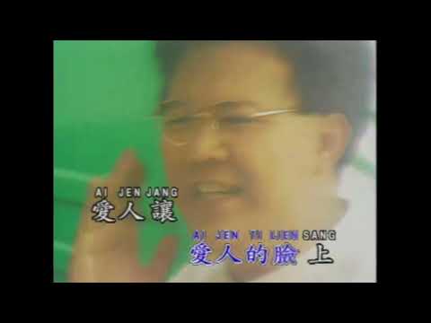 庄学忠 - 情人的阳光 (Karaoke Version)