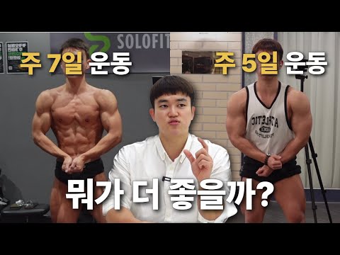 주 7일 운동 vs 주 5일 운동, 둘 다 해보고 느낀점