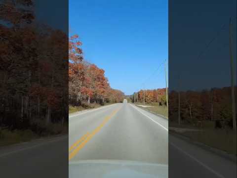 #fallcolours #canada #ontario  #fallfoliage #travel #autumncolours #shortvideo