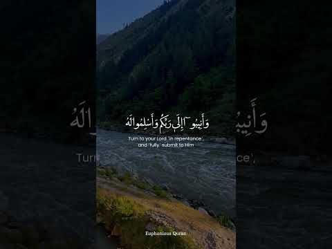 Powerful Quran Reminder | Allah (SWT) forgives all | Seek Forgiveness