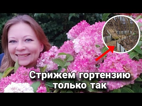 Хочешь пышное цветение? Стриги правильно!