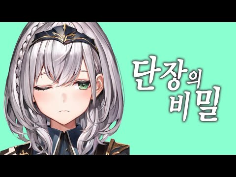 [시로가네노엘] V튜버는 어떻게 방송하는건가요? (진짜모름)