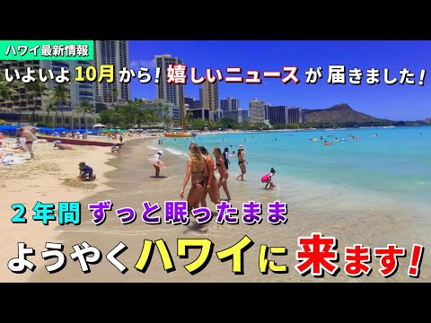 ハワイ旅行完全復活へ！ようやく3機揃ってハワイにやってくることが決まりました！【ハワイ最新情報】【ハワイの今】【ハワイ旅行2023】【HAWAII】