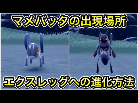 【ポケモンSV】マメバッタの入手方法！エクスレッグへの進化方法を解説