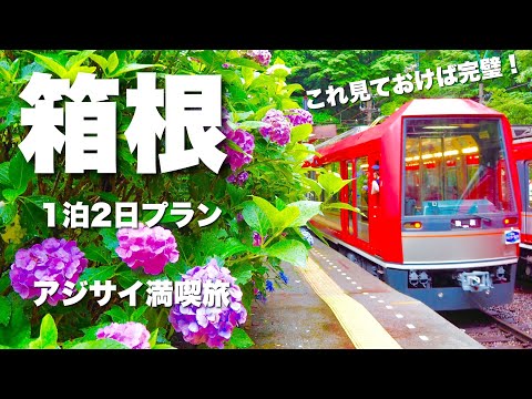 【梅雨ならこのプラン！】箱根フリーパスでアジサイの名所を巡る１泊２日箱根旅