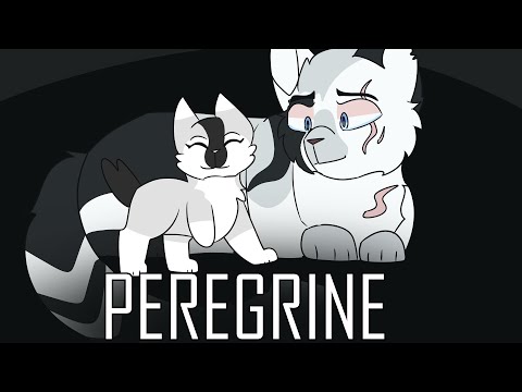 Peregrine ~ Lumi PMV (Warriors OCs)