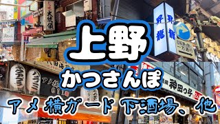 【上野かつさんぽ】「大統領本店」「アメ横ホルモン611」「神田っ子」「昇龍」4軒ハシゴ酒from Ueno in JAPAN