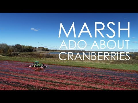 Marsh Ado About Cranberries | Honestly Cranberry & Cooking with Luke Zahm | Wisconsin Foodie