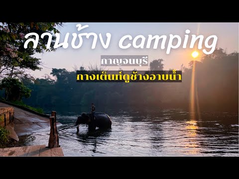 ลานช้าง camping กาญจนบุรี กางเต็นท์ดูช้างอาบน้ำ